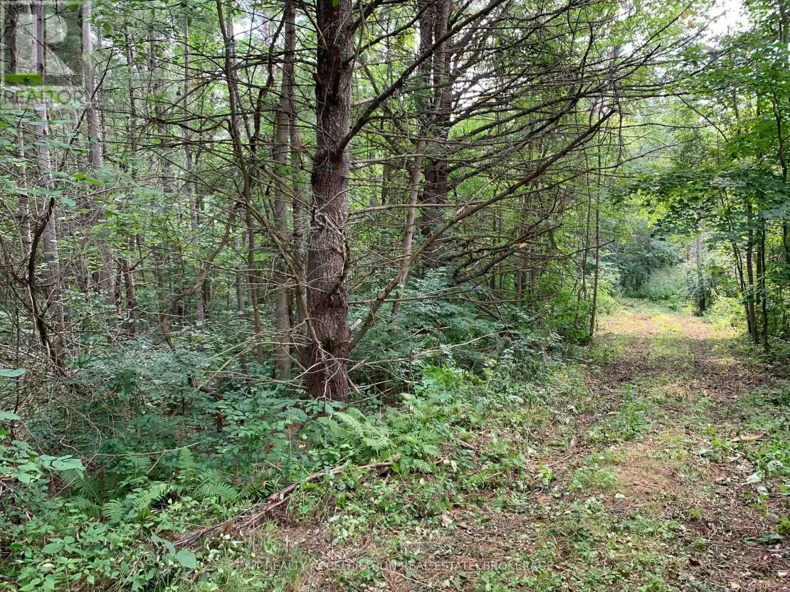 00 CON11 PINE GROVE ROAD