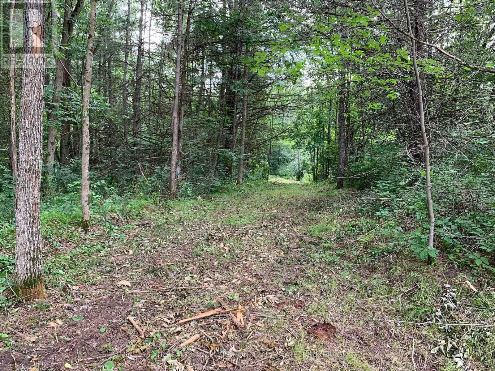 00 CON11 PINE GROVE ROAD