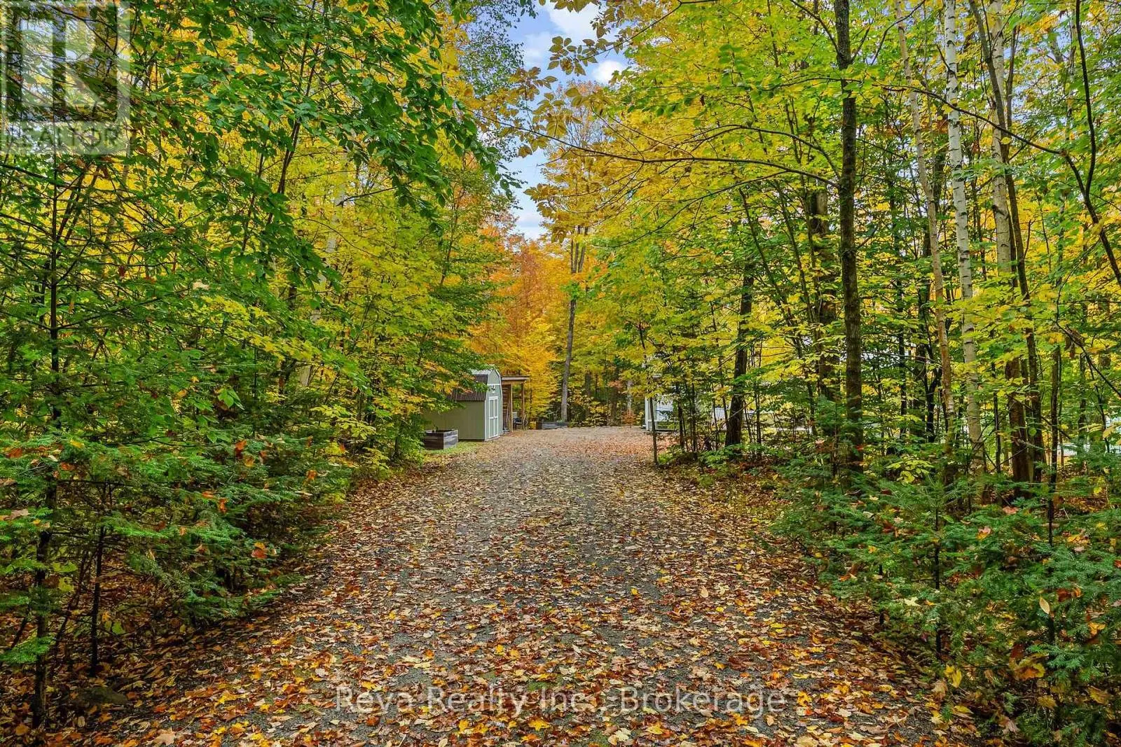595 OLD DIAMOND LAKE ROAD