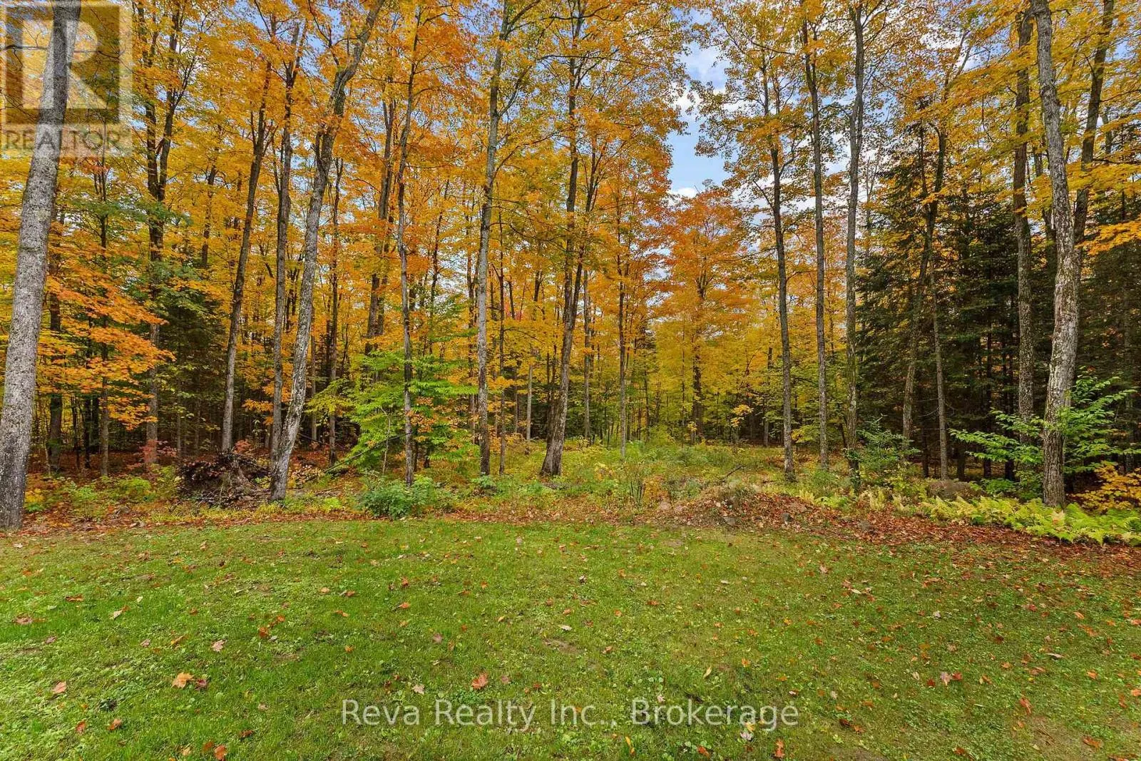 595 OLD DIAMOND LAKE ROAD
