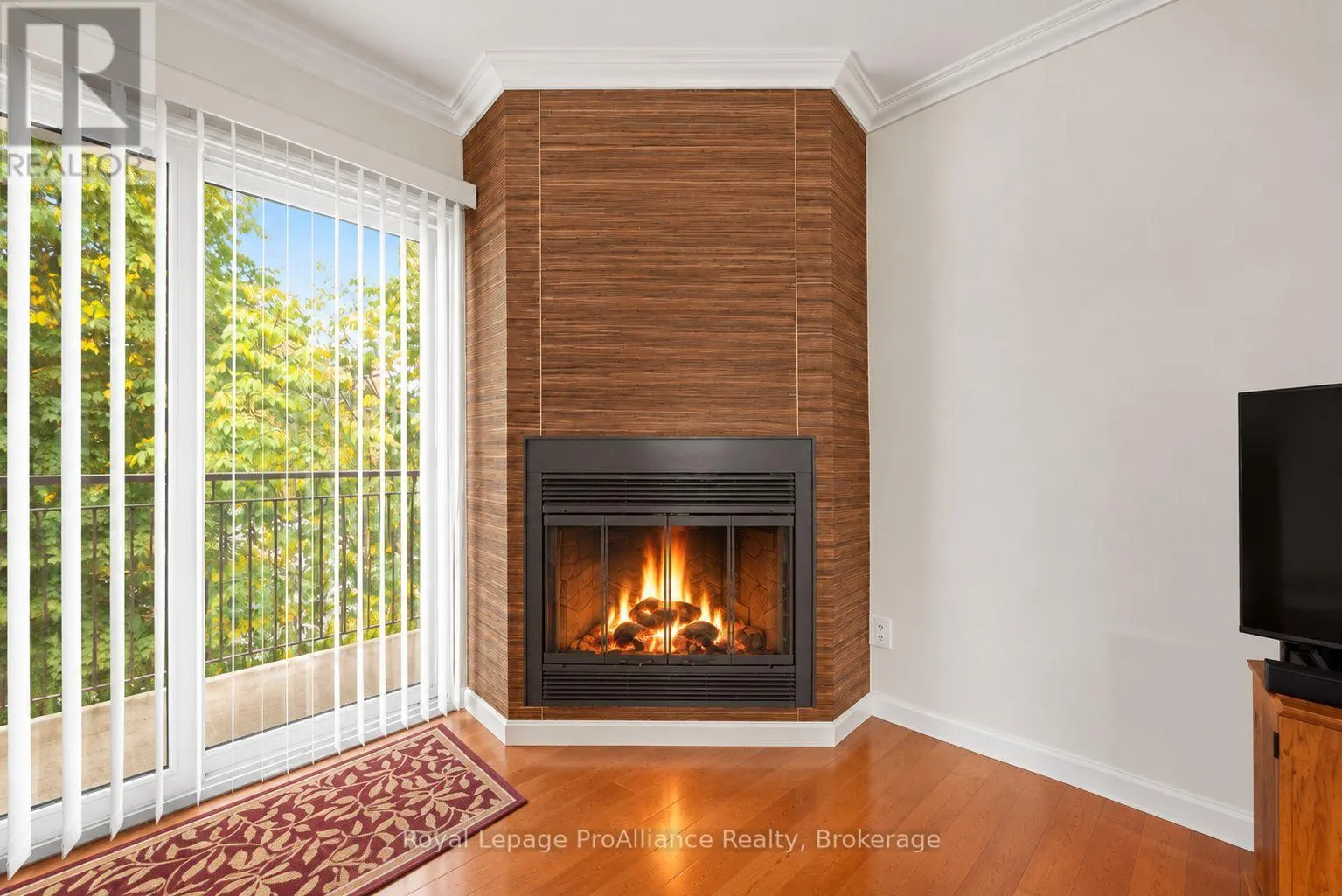 311C - 223 NORTH PARK STREET #311C