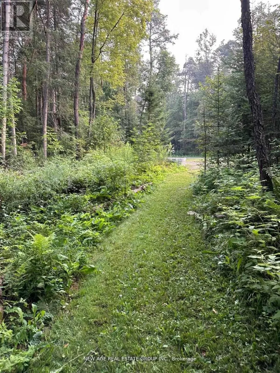 9031 SIDEROAD 17
