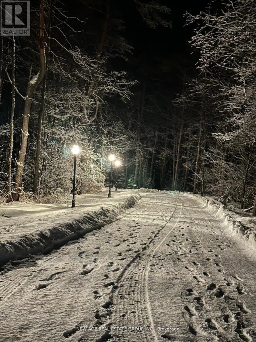 9031 SIDEROAD 17