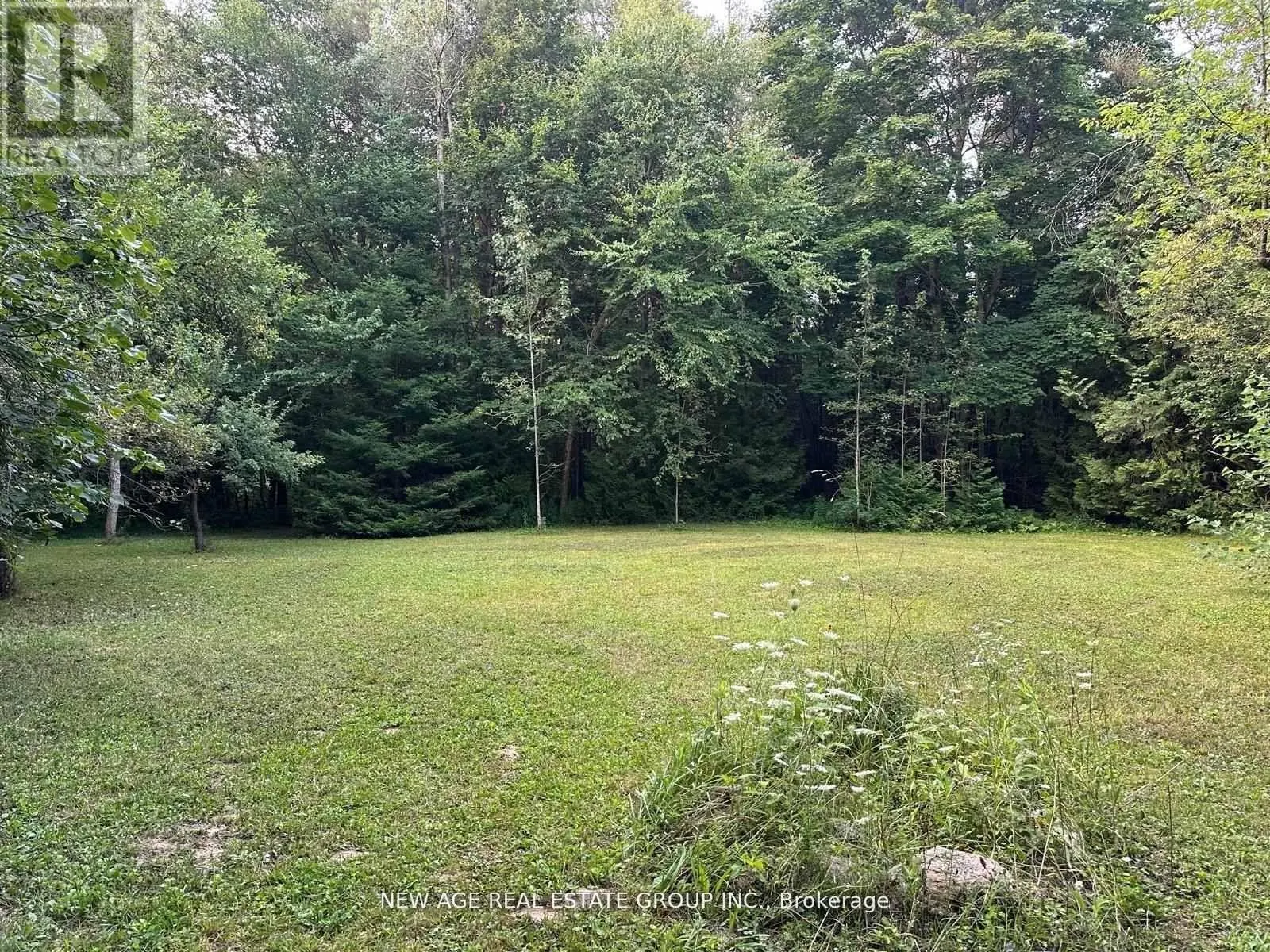 9031 SIDEROAD 17