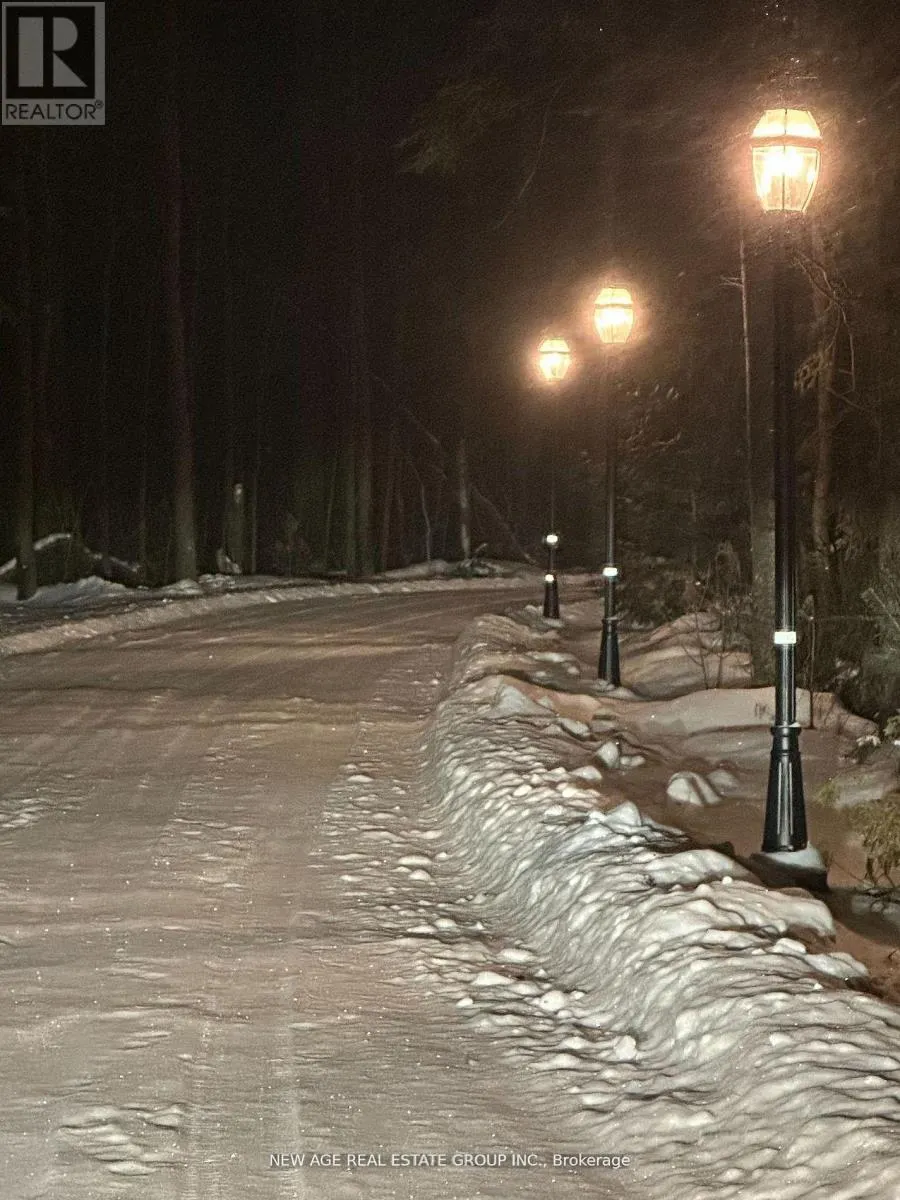 9031 SIDEROAD 17