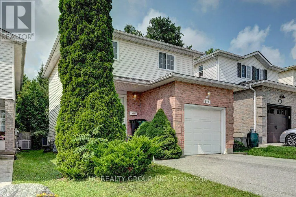 271 RESURRECTION DRIVE