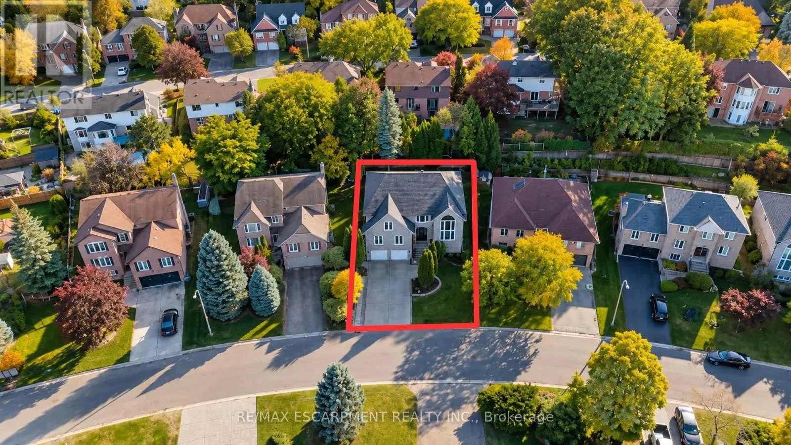 12 SUNDROP COURT