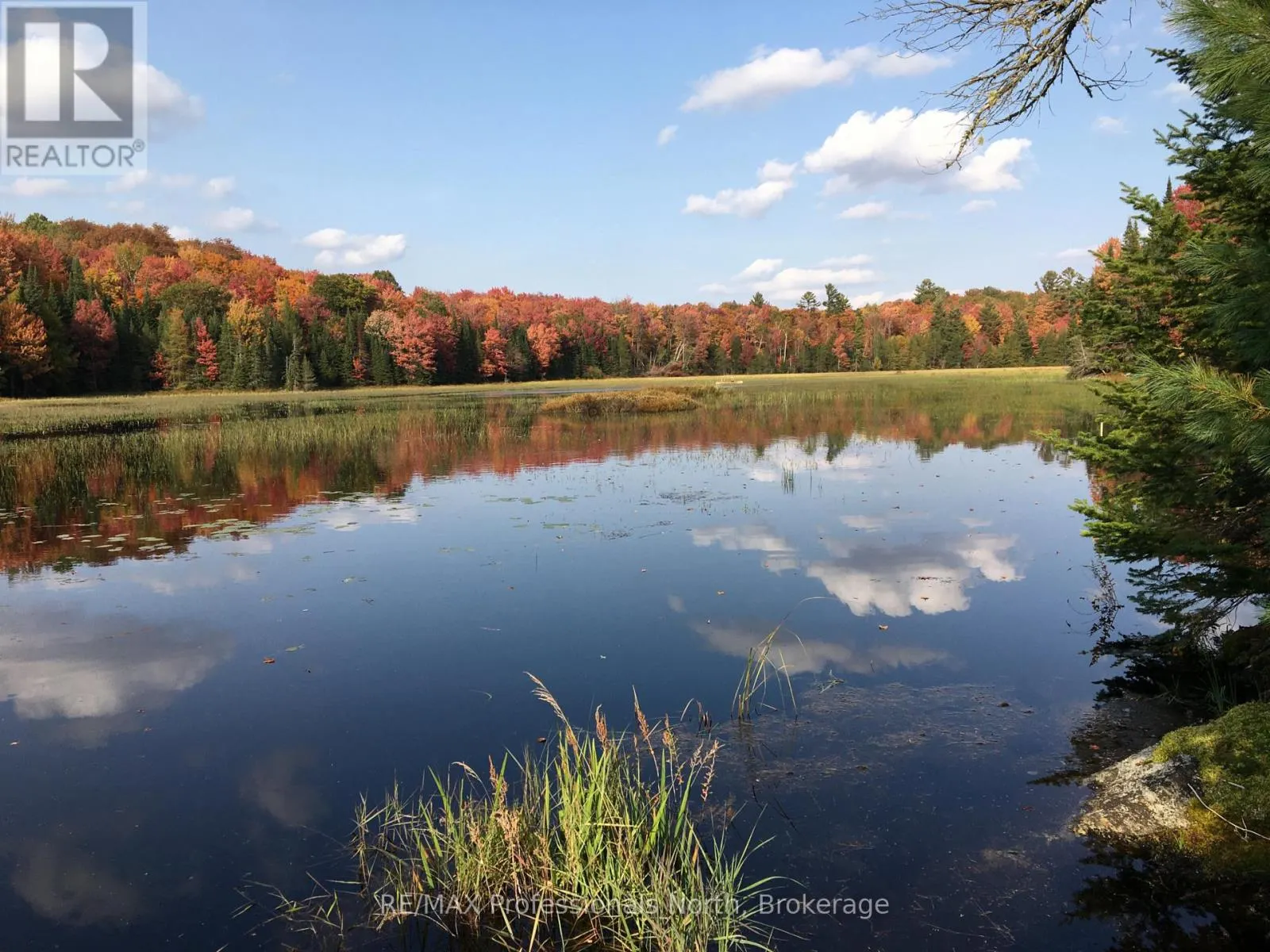 862 LYNX LAKE RD ROAD