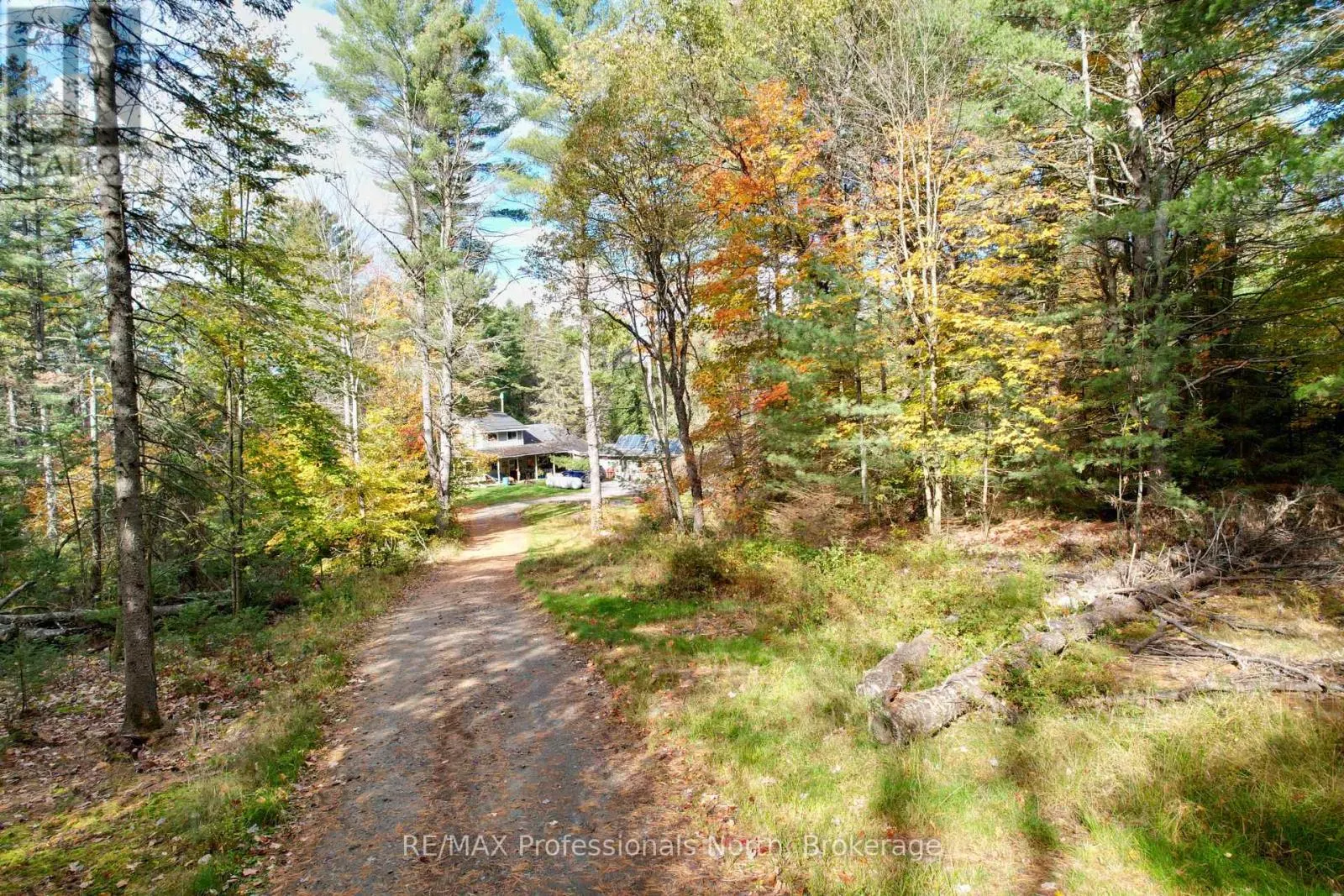 862 LYNX LAKE RD ROAD