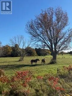 504054 GREY RD 1 999 ROAD
