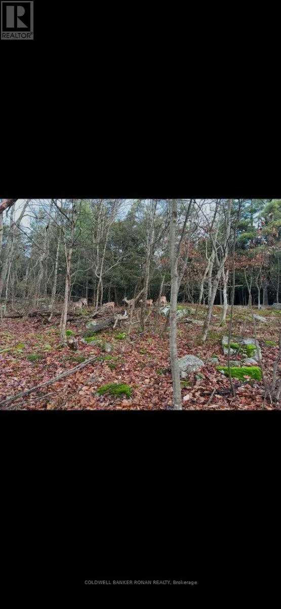 345198 15 SIDE ROAD