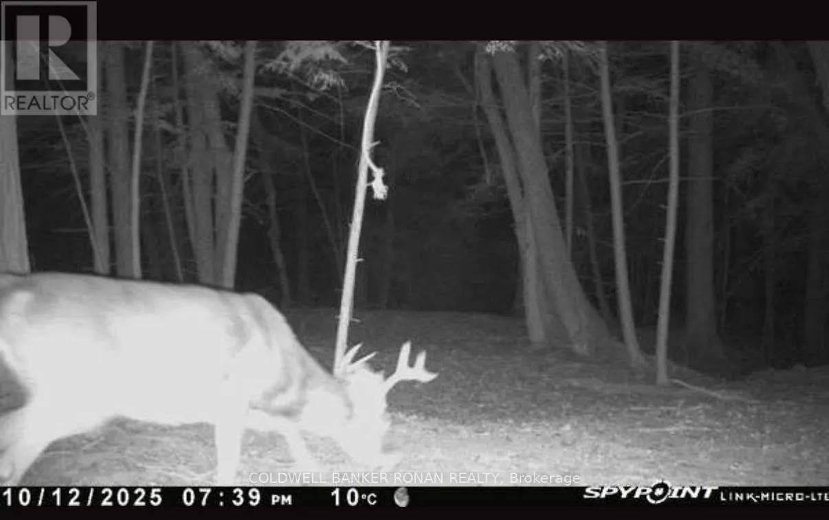 345198 15 SIDE ROAD