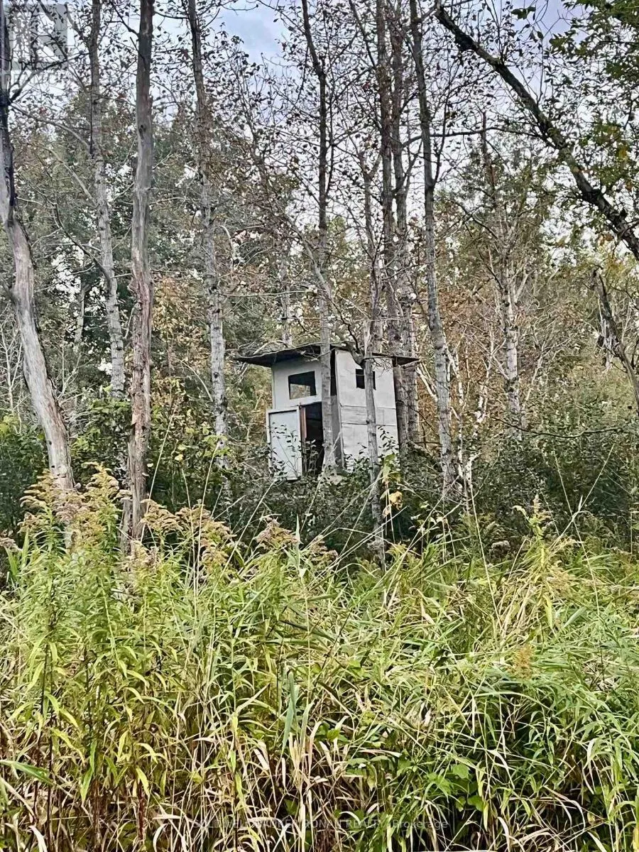 345198 15 SIDE ROAD