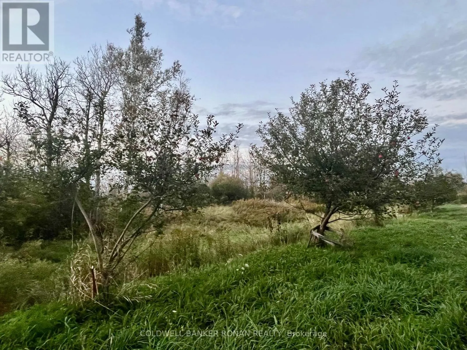 345198 15 SIDE ROAD