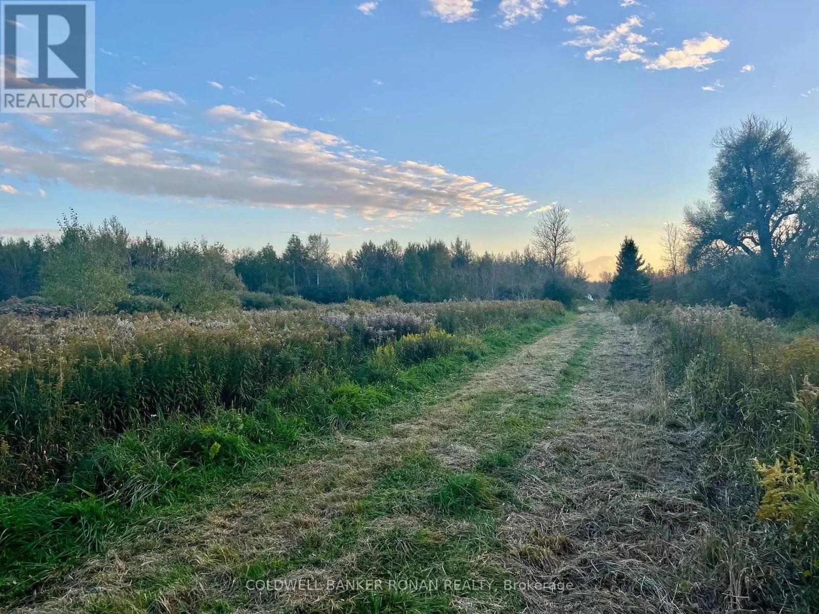 345198 15 SIDE ROAD