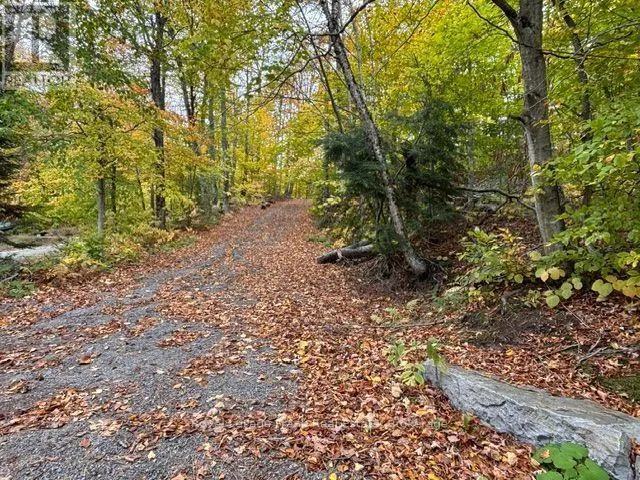 231 WEST DIAMOND LAKE ROAD