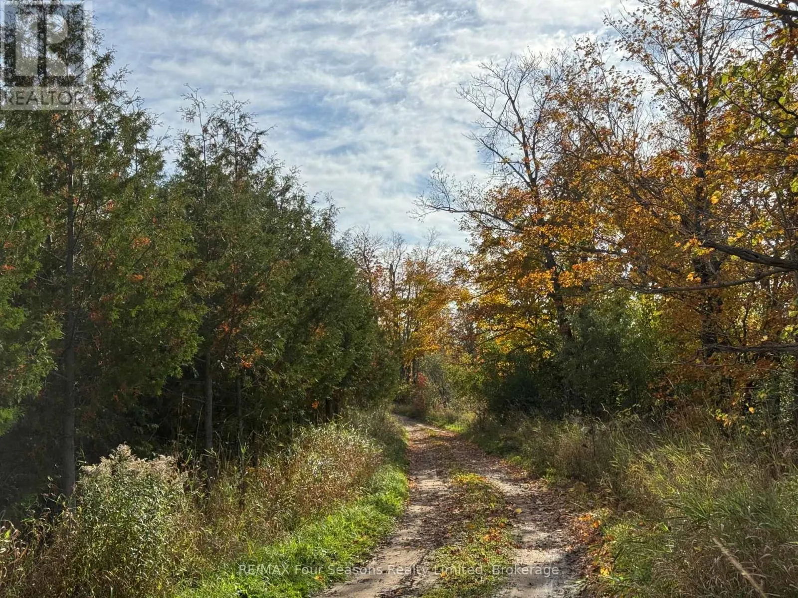 NORTH 1/2 LOT 25 ST VINCENT SYDENHAM TOWNLINE N