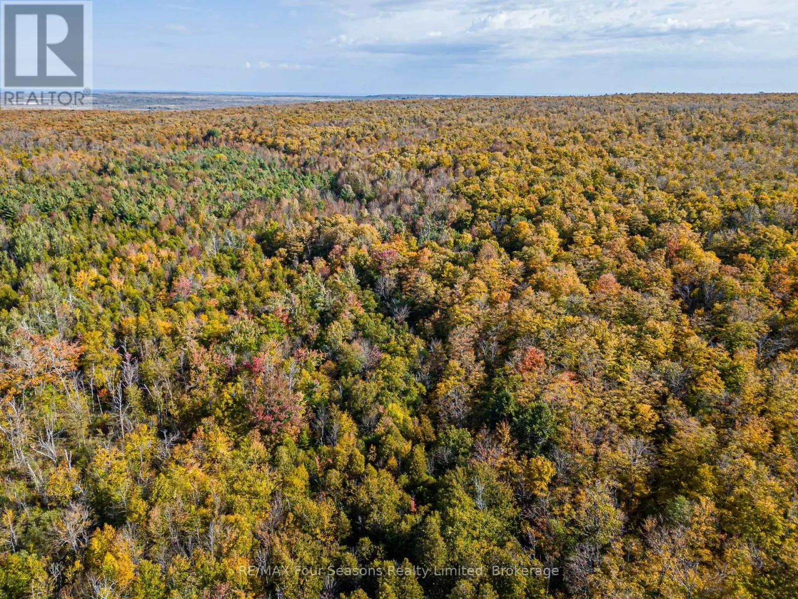 NORTH 1/2 LOT 25 ST VINCENT SYDENHAM TOWNLINE N