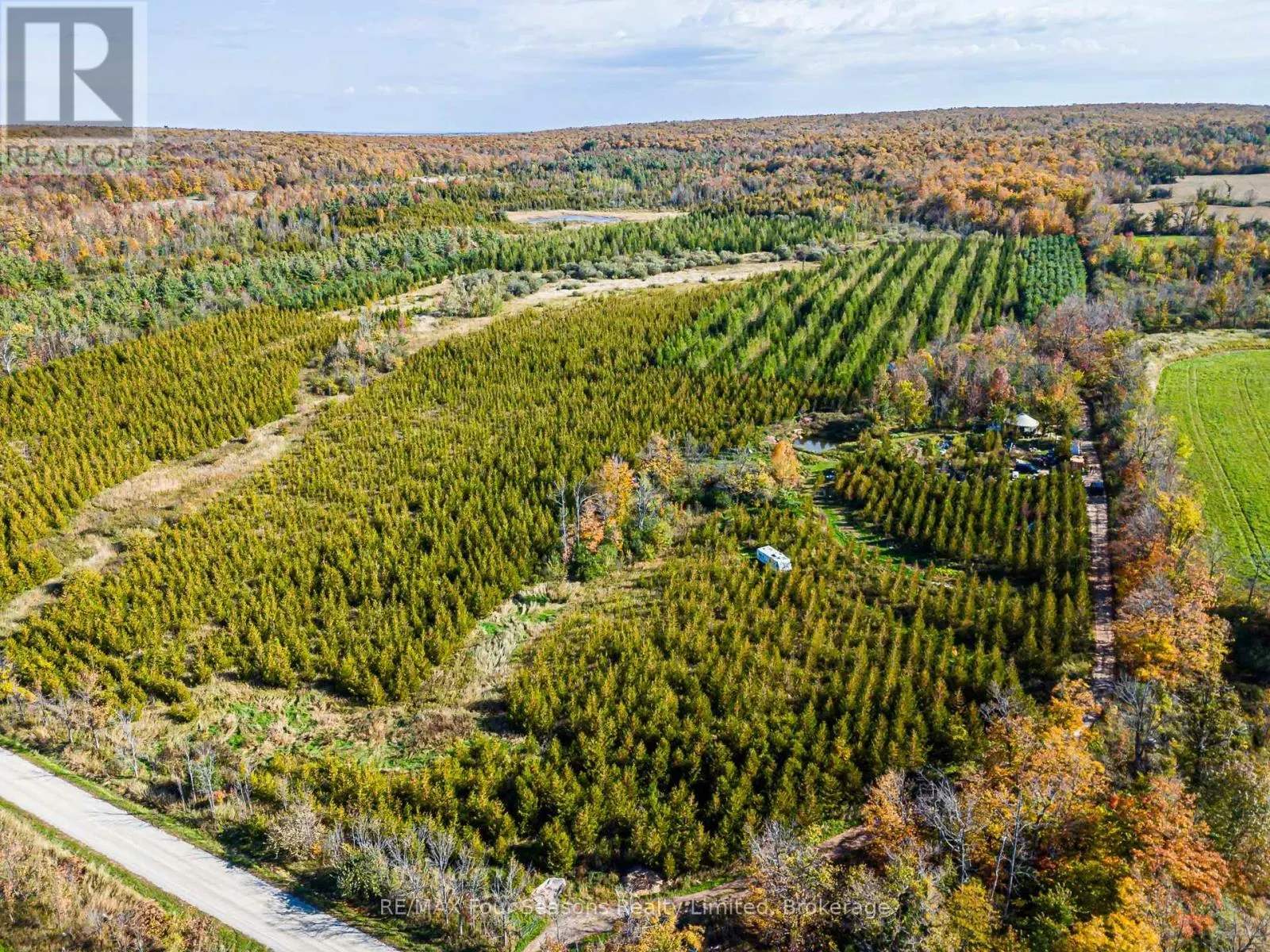 NORTH 1/2 LOT 25 ST VINCENT SYDENHAM TOWNLINE N