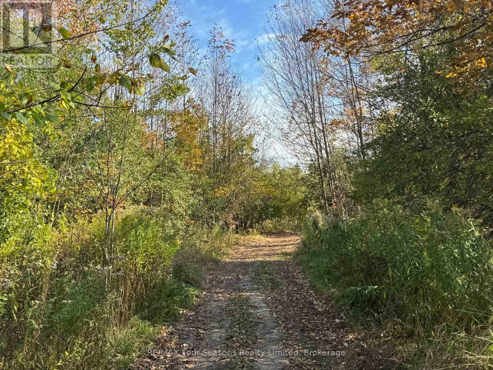 NORTH 1/2 LOT 25 ST VINCENT SYDENHAM TOWNLINE N