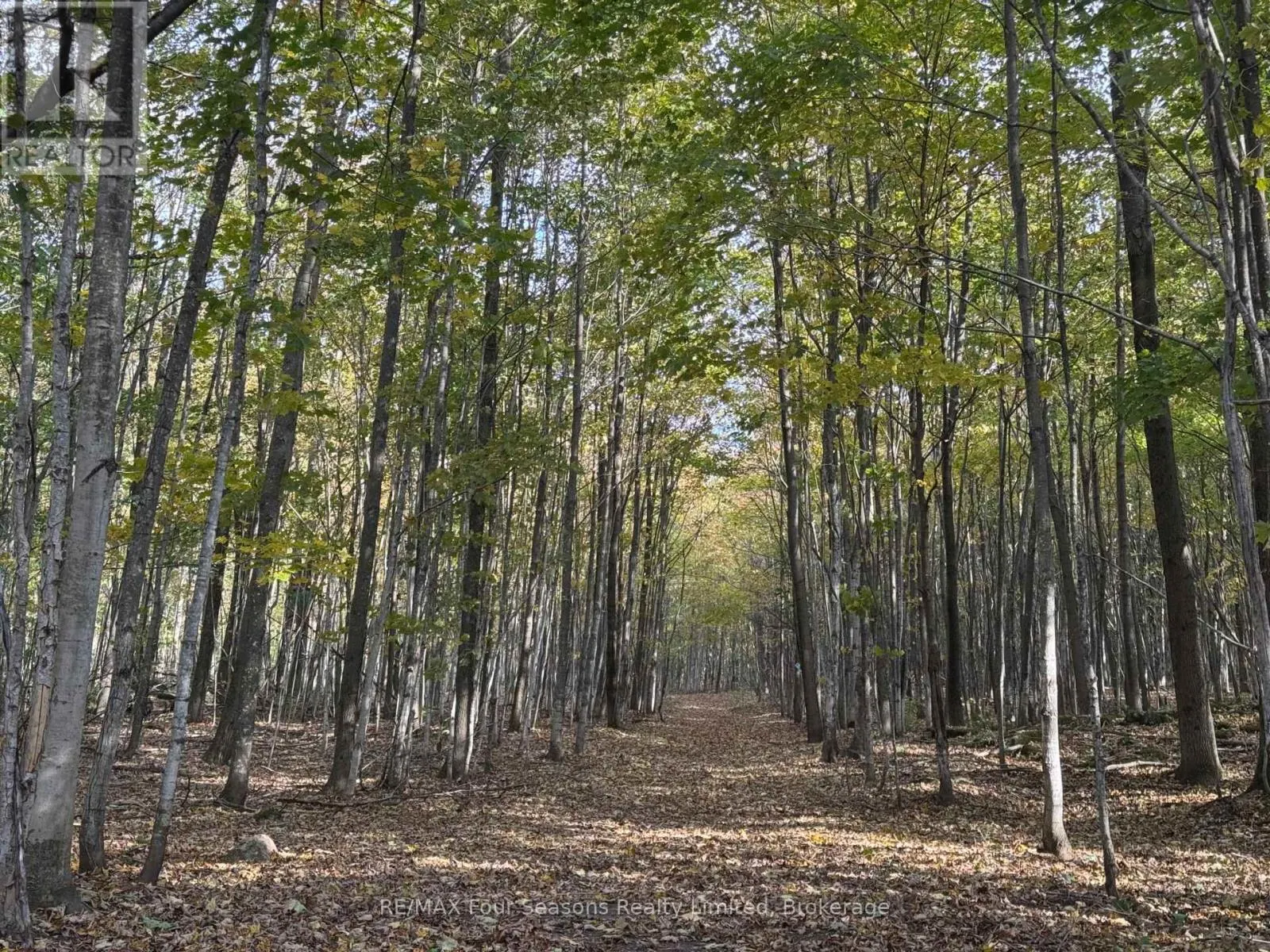 NORTH 1/2 LOT 25 ST VINCENT SYDENHAM TOWNLINE N