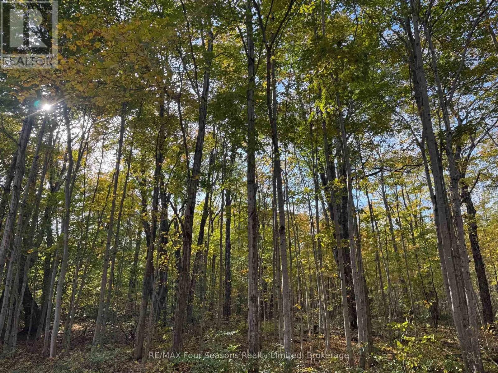 NORTH 1/2 LOT 25 ST VINCENT SYDENHAM TOWNLINE N