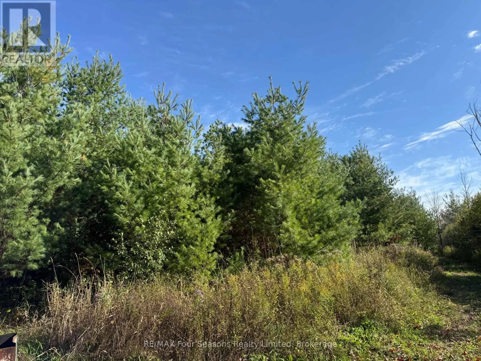 NORTH 1/2 LOT 25 ST VINCENT SYDENHAM TOWNLINE N