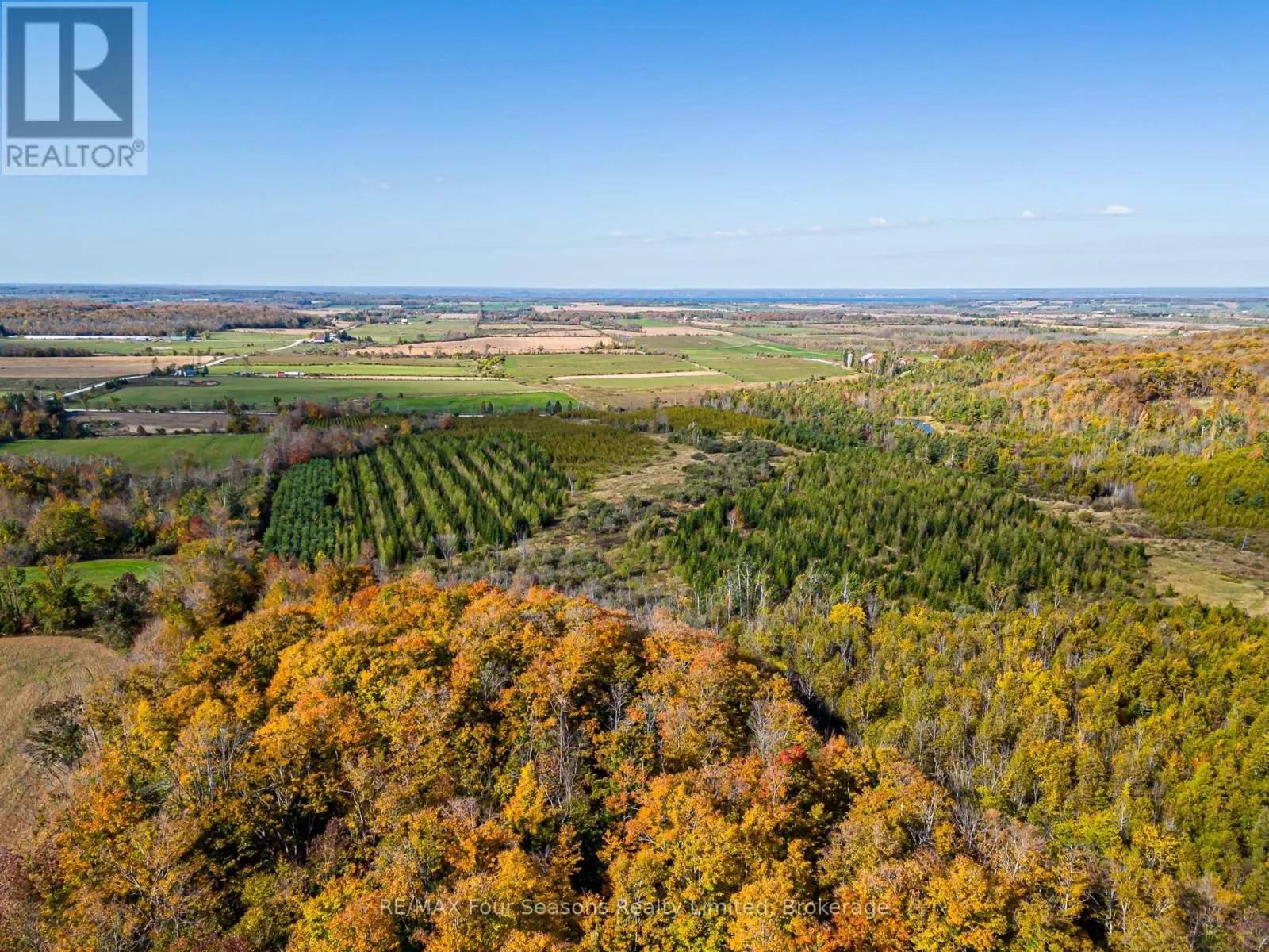 NORTH 1/2 LOT 25 ST VINCENT SYDENHAM TOWNLINE N