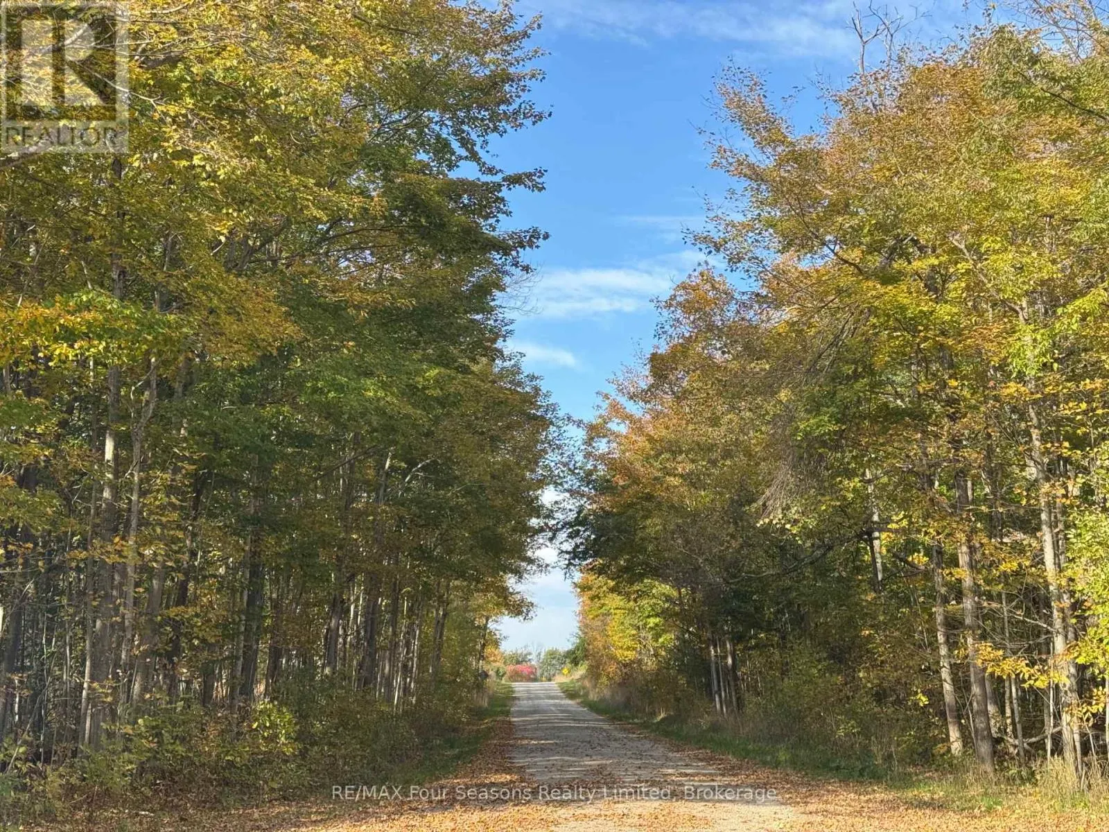 NORTH 1/2 LOT 25 ST VINCENT SYDENHAM TOWNLINE N