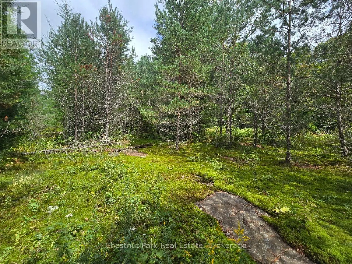 00 OLD TRACK ROAD