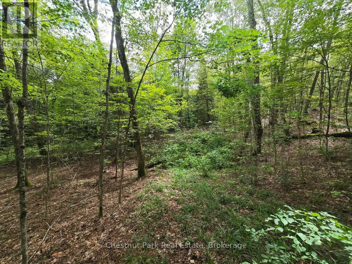 00 OLD TRACK ROAD