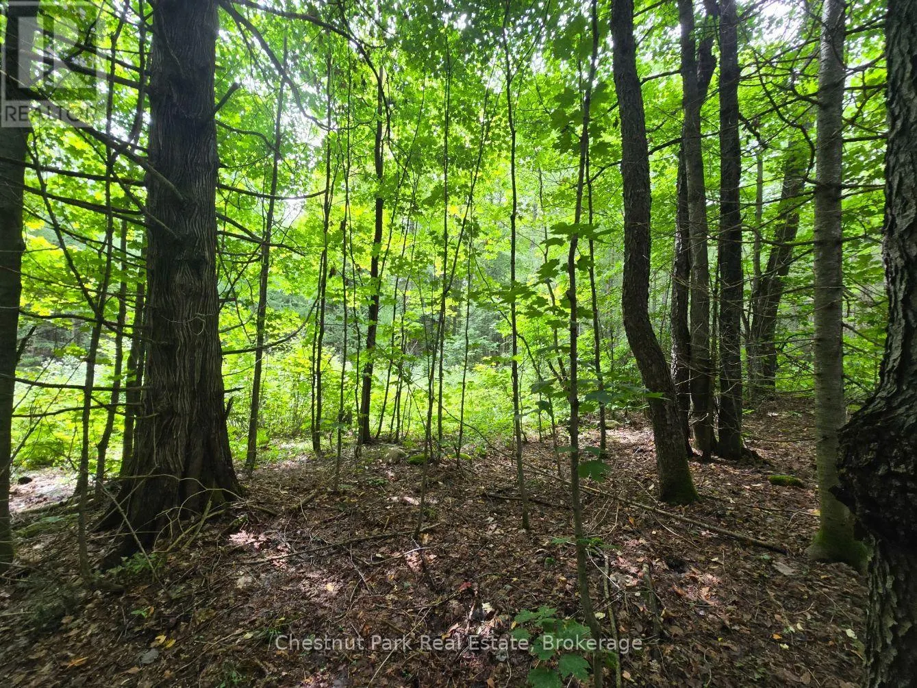 00 OLD TRACK ROAD