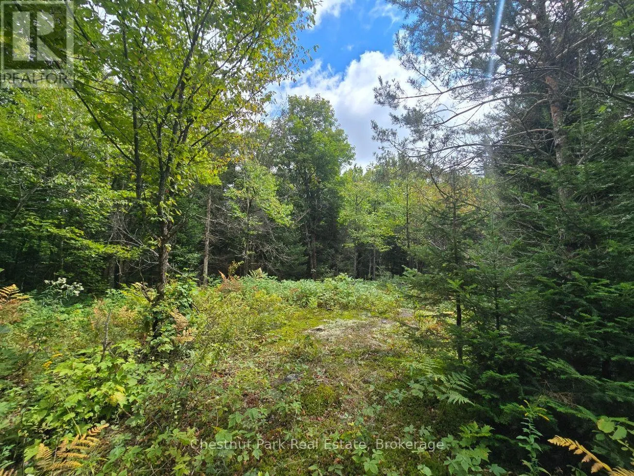 00 OLD TRACK ROAD