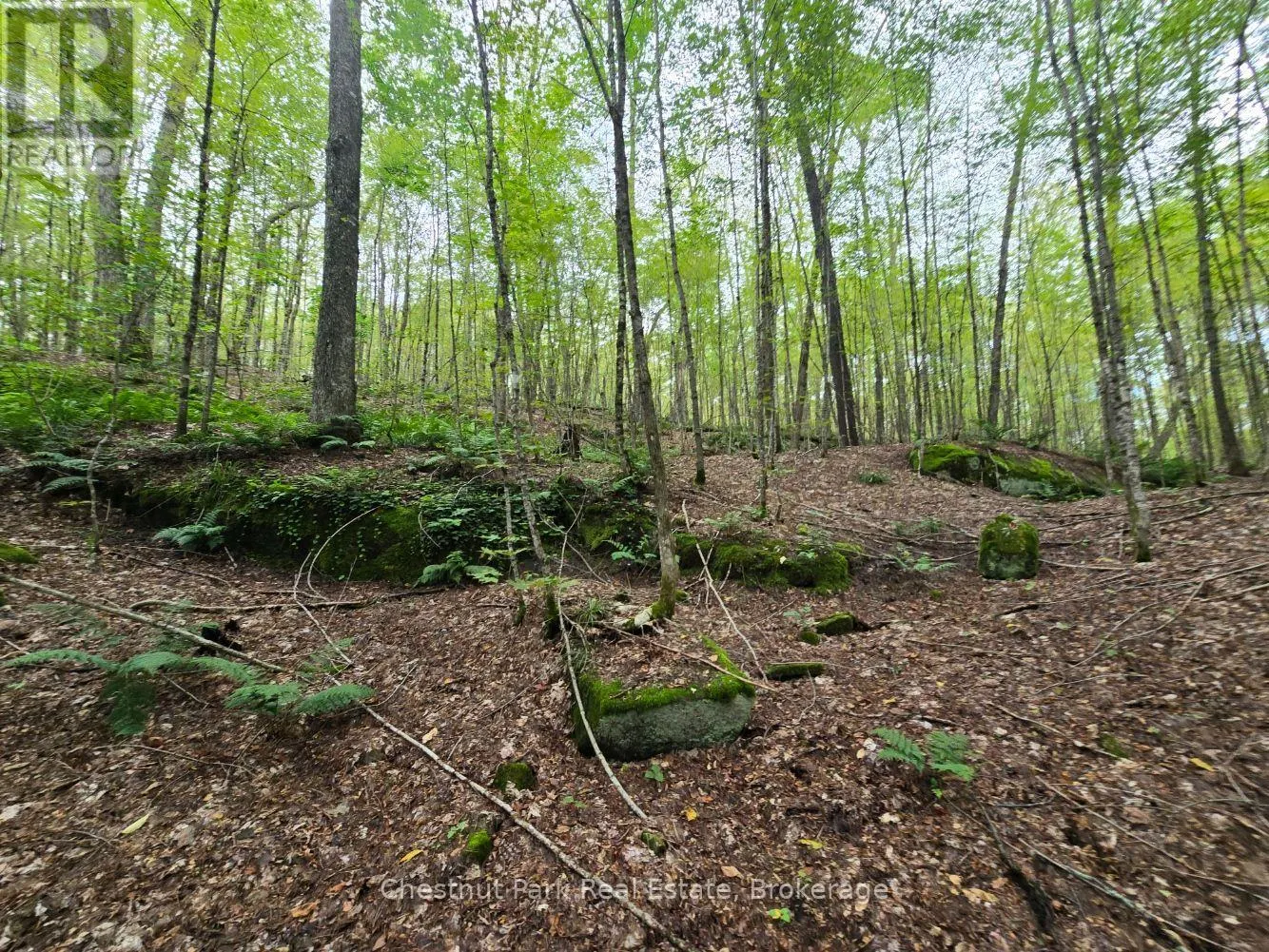 00 OLD TRACK ROAD