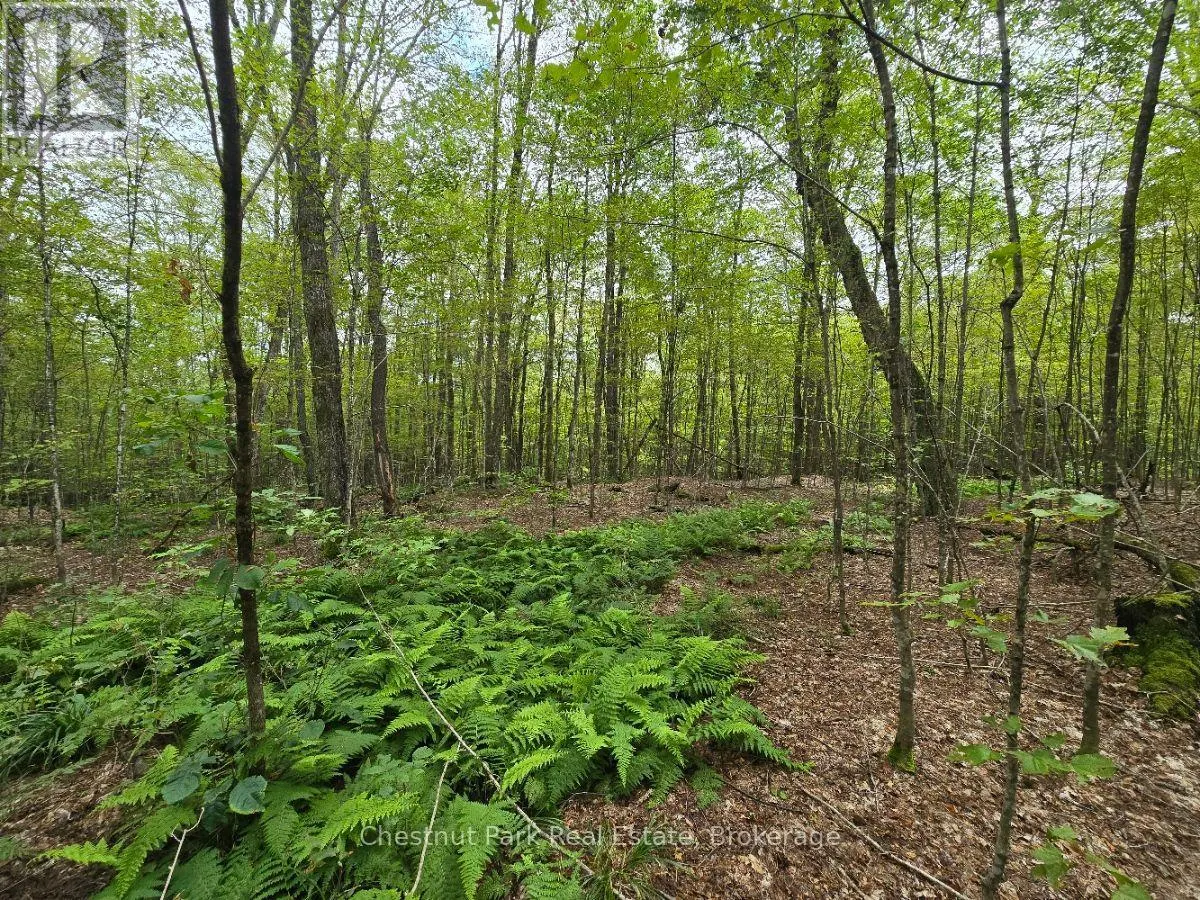 00 OLD TRACK ROAD