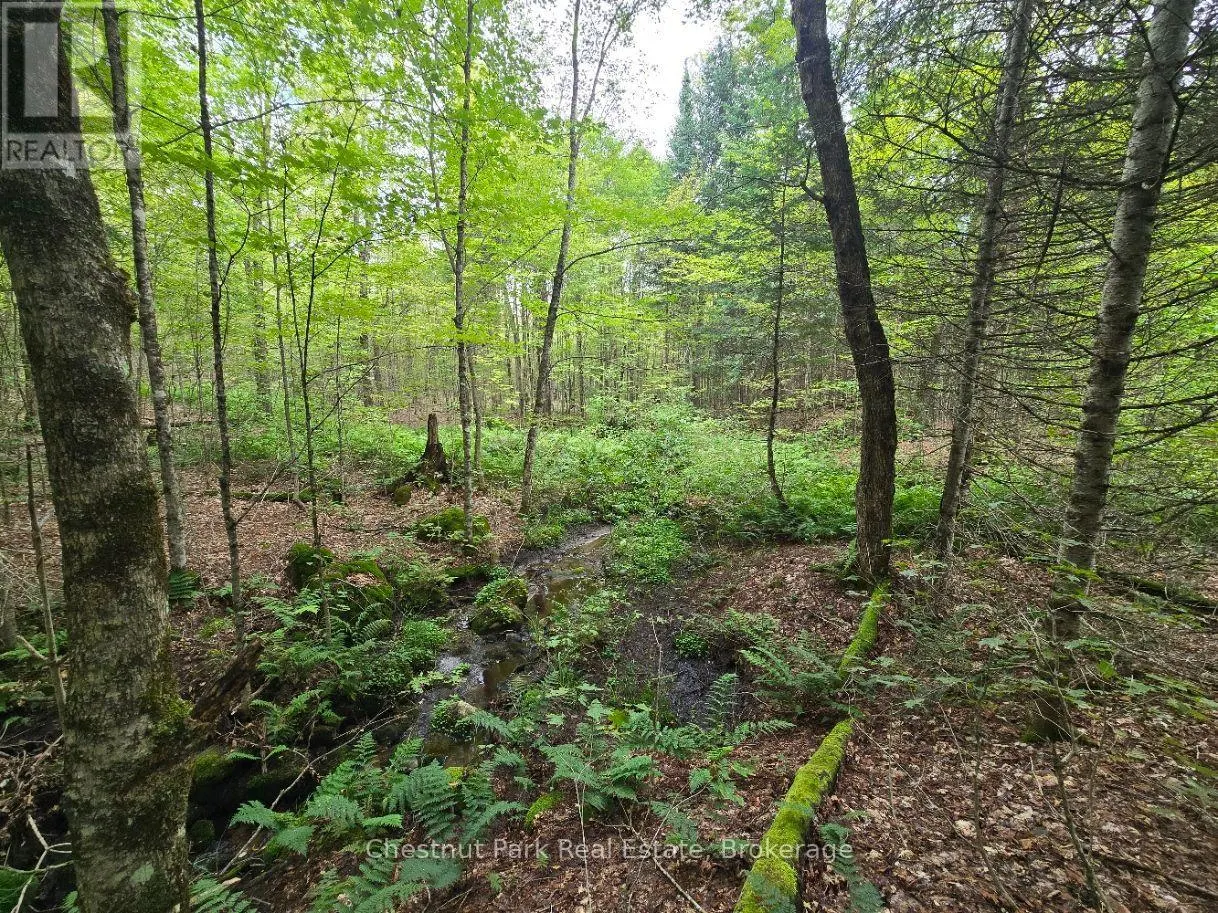00 OLD TRACK ROAD