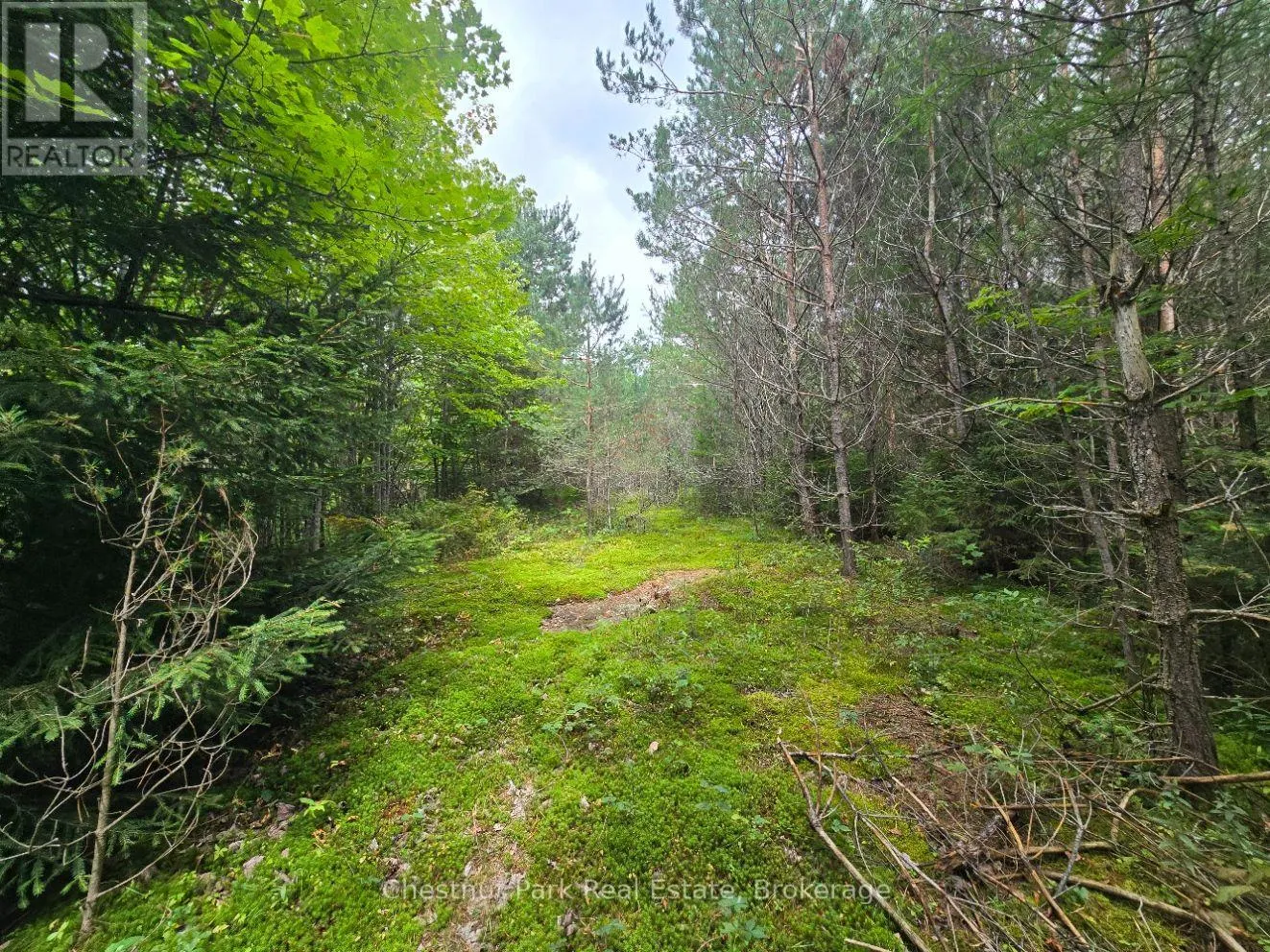 00 OLD TRACK ROAD