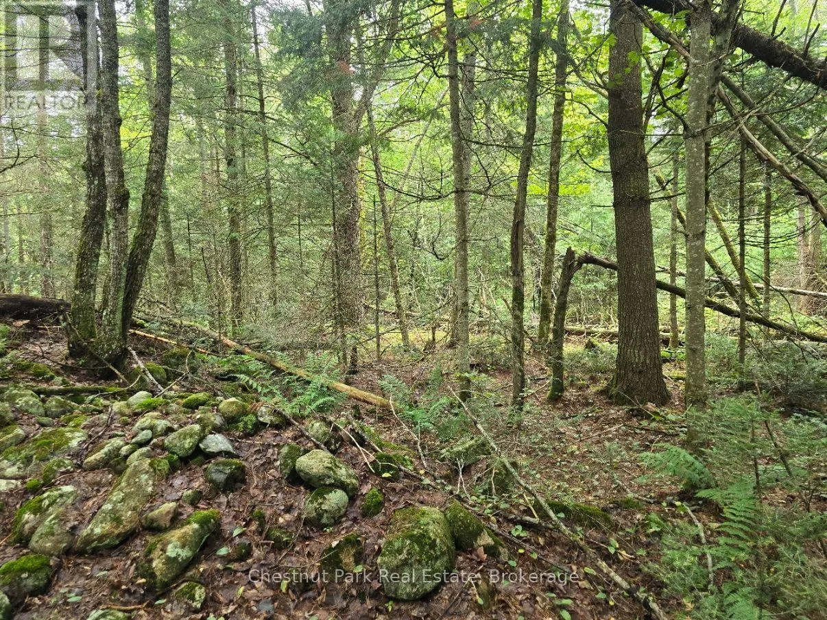 00 OLD TRACK ROAD