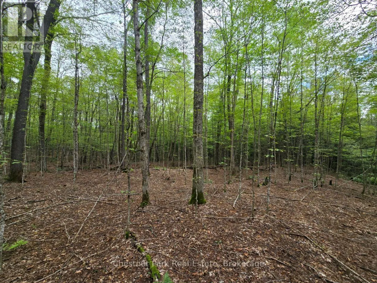 00 OLD TRACK ROAD