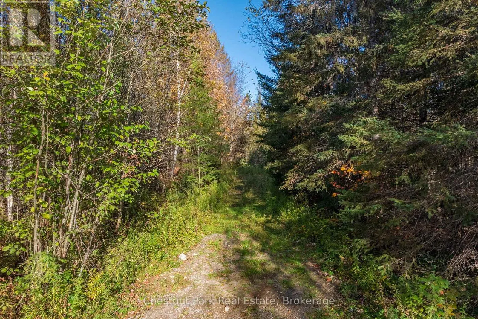 00 OLD TRACK ROAD