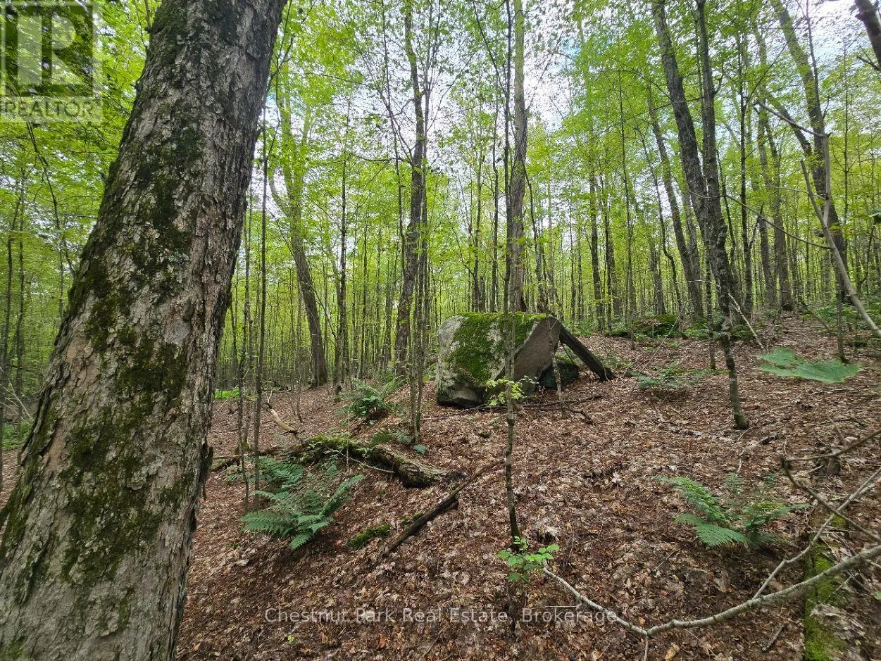 00 OLD TRACK ROAD