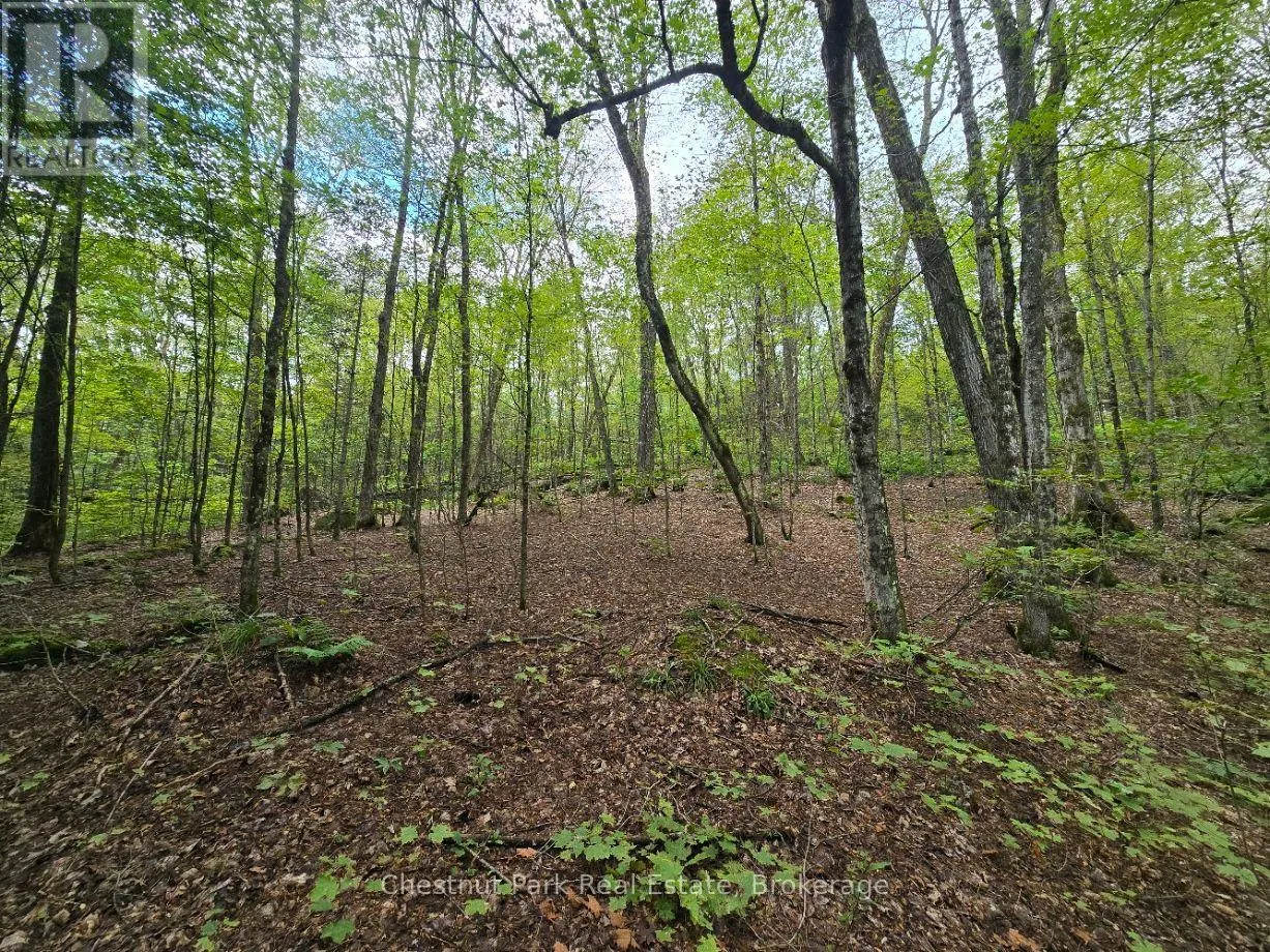 00 OLD TRACK ROAD