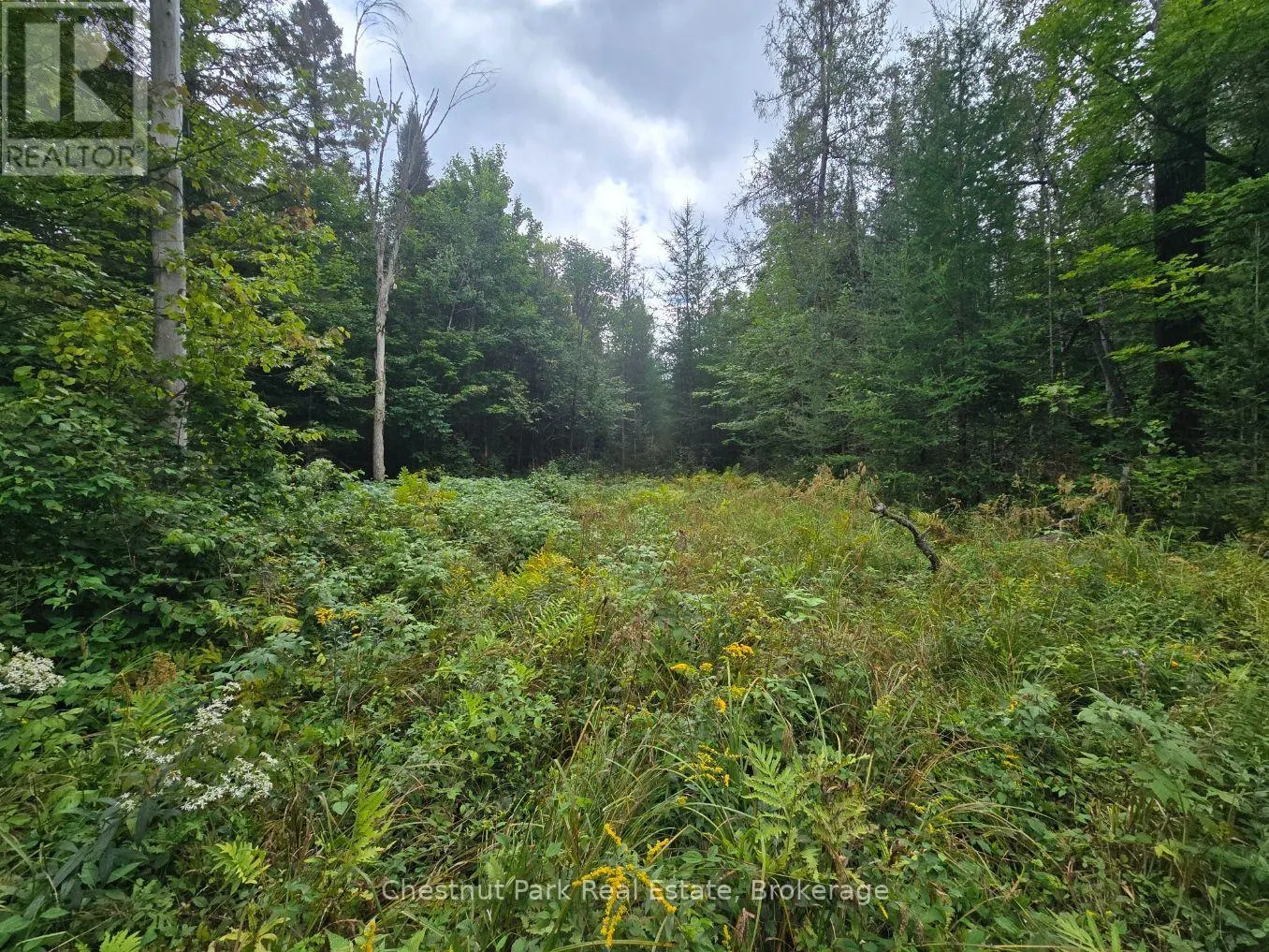 00 OLD TRACK ROAD