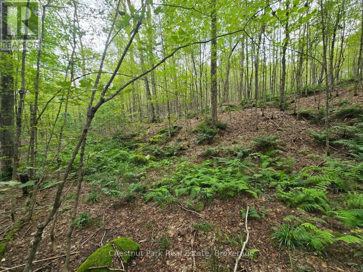 00 OLD TRACK ROAD