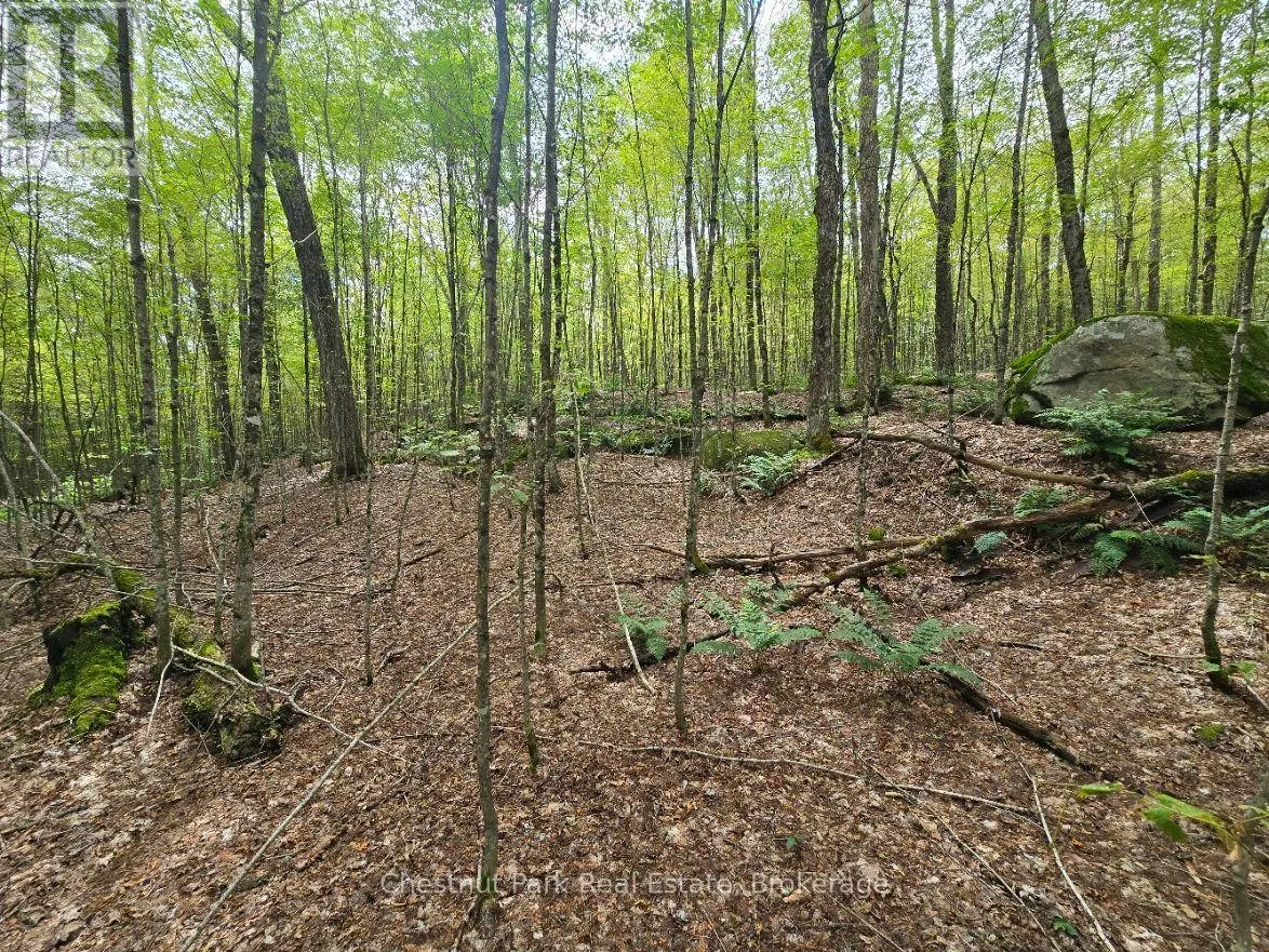 00 OLD TRACK ROAD