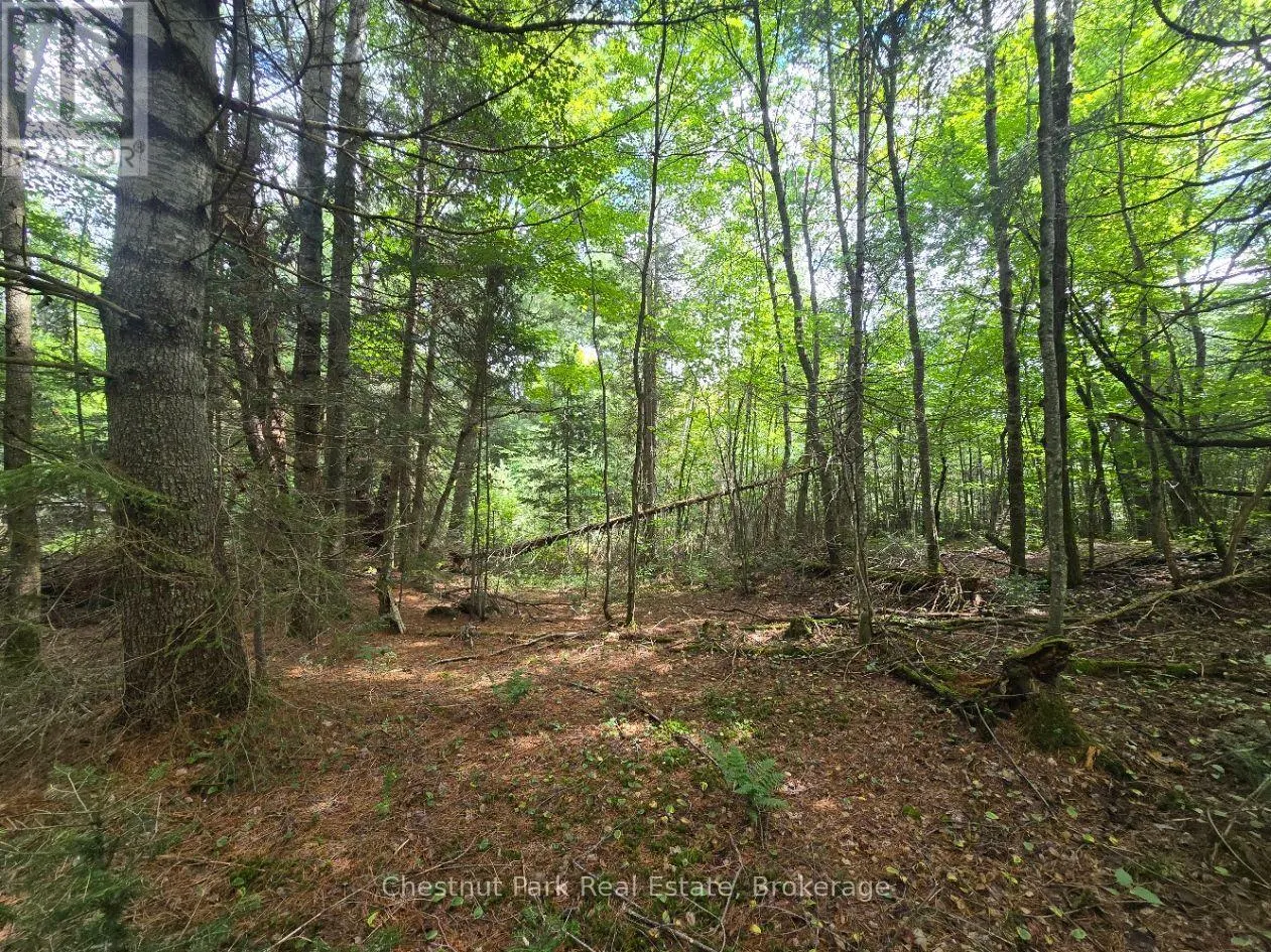 00 OLD TRACK ROAD