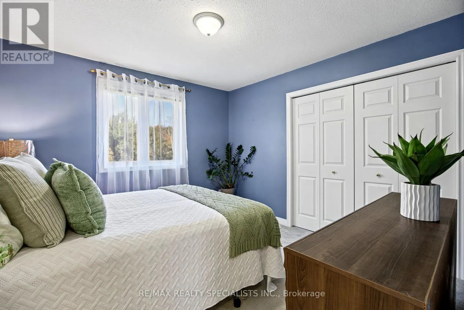 15 PATRICK DRIVE
