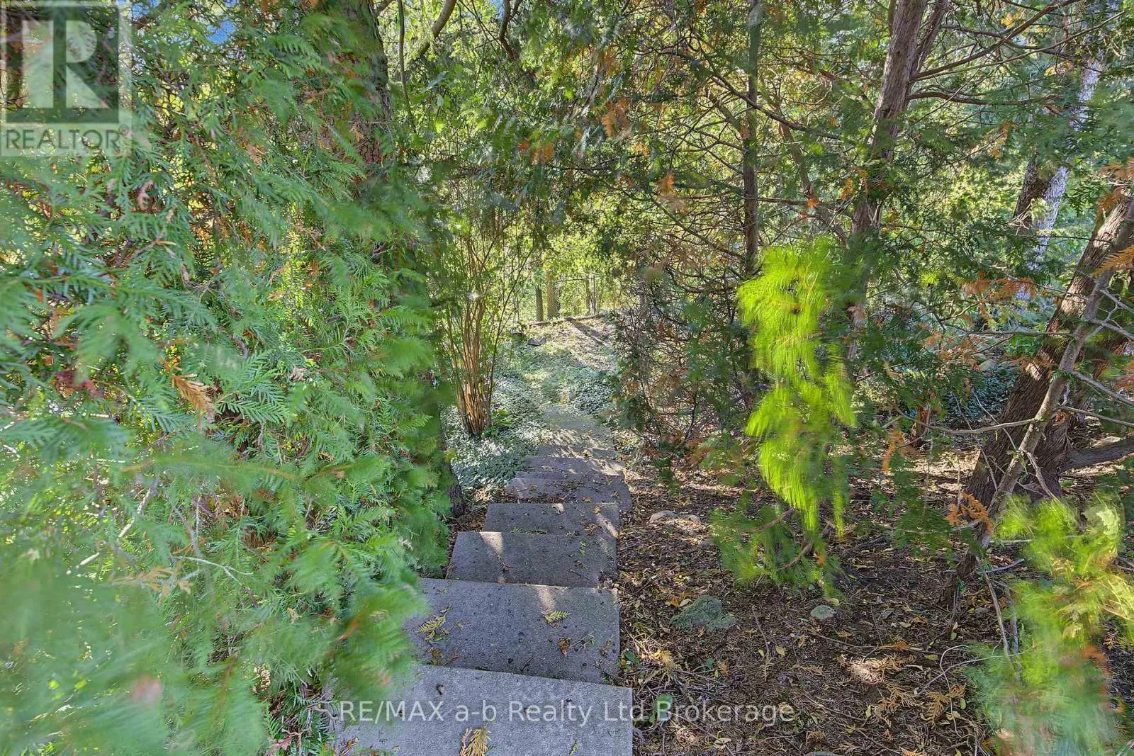 20 PINECREST AVENUE