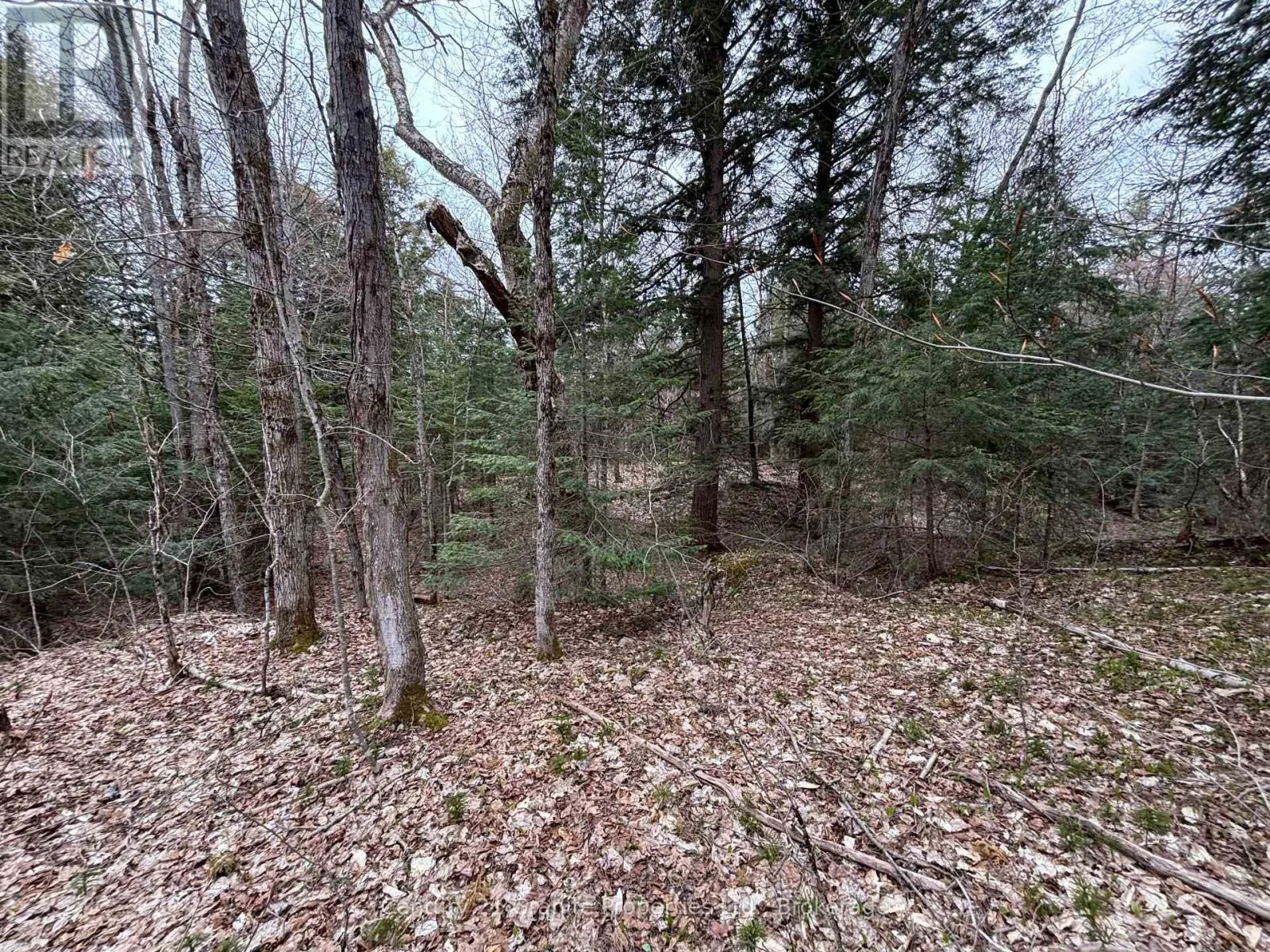 LOT 1 LOCH ERNE ROAD