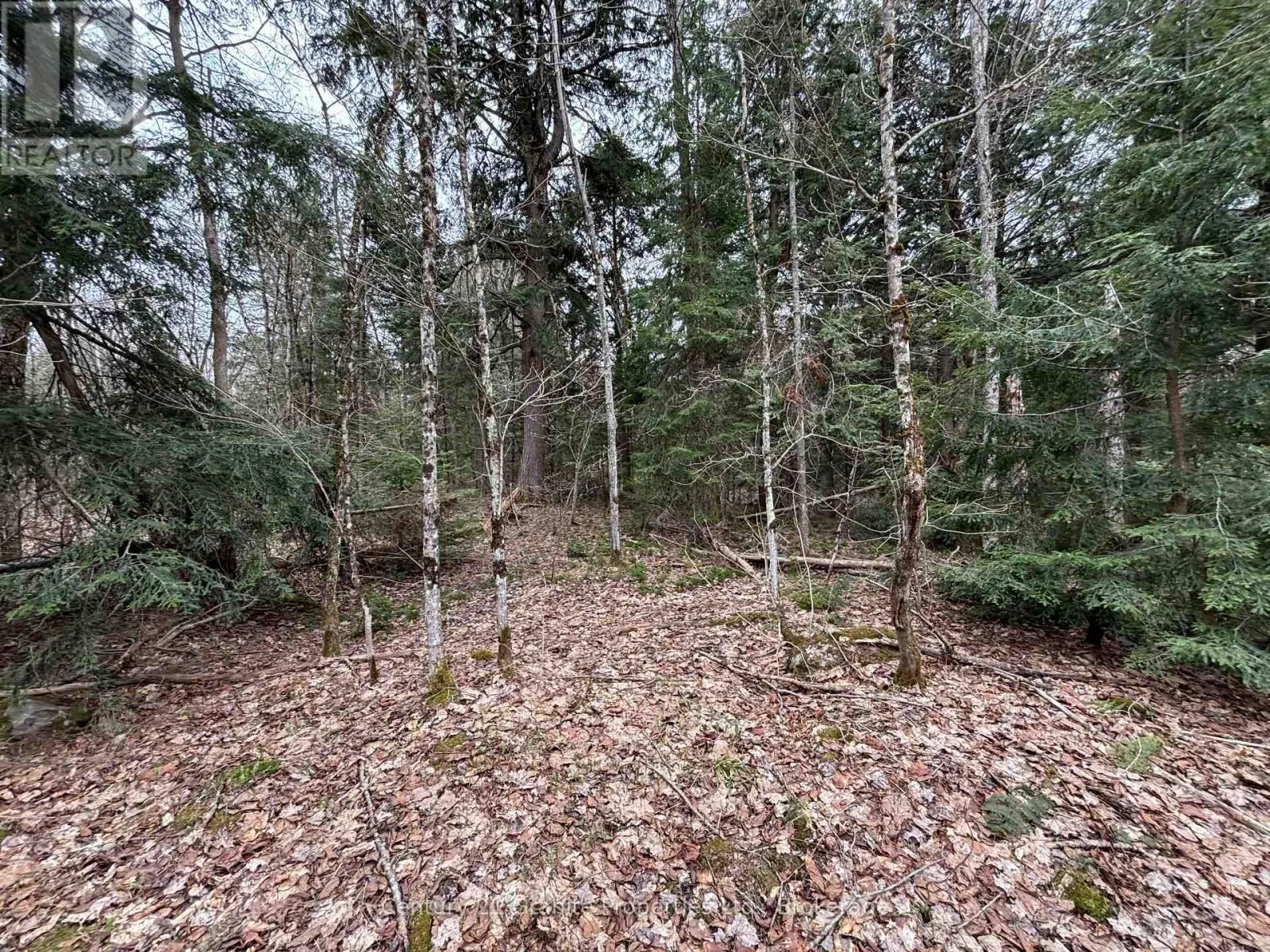 LOT 1 LOCH ERNE ROAD